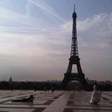 (Category: ) located in . Submitted by supergrapher (Listing ID 1260272365, Image 1). Description: .