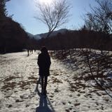 (Category: ) located in . Submitted by jychang (Listing ID 1372397040, Image 1). Description: .