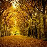 (Category: ) located in . Submitted by autumn.forest (Listing ID 1345306454, Image 1). Description: .