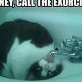 (Category: ) located in . Submitted by sembrono697 (Listing ID 1383125970, Image 1). Description: .
