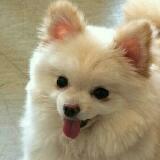 (Category: ) located in . Submitted by cheersmate (Listing ID 1140450212, Image 1). Description: .