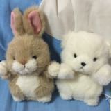 (Category: ) located in . Submitted by serene.zhuang (Listing ID 1374735602, Image 1). Description: .