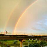 (Category: ) located in . Submitted by sm1cks (Listing ID 1365196009, Image 1). Description: .