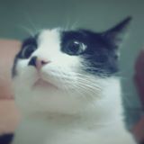 由 tania3252 (刊登 ID 1375993695，圖片 1) 提交，位於 的 (類別：)，說明：。