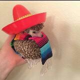 (Category: ) located in . Submitted by dealove (Listing ID 1297307903, Image 1). Description: .