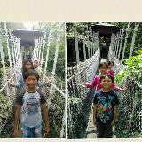 (Category: ) located in . Submitted by sumiyati.mdshah (Listing ID 1351806395, Image 1). Description: .