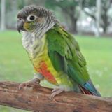 (Category: ) located in . Submitted by ulfaria (Listing ID 1381840528, Image 1). Description: .
