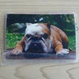 (Category: ) located in . Submitted by bunny_wong (Listing ID 1237771251, Image 1). Description: .
