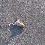 (Category: ) located in . Submitted by markeron (Listing ID 1306530775, Image 1). Description: .