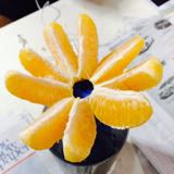 (Category: ) located in . Submitted by veninaidu (Listing ID 116716594, Image 1). Description: .