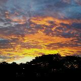 (Category: ) located in . Submitted by titomusic (Listing ID 1373917263, Image 1). Description: .