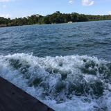 (Category: ) located in . Submitted by user1113 (Listing ID 1363356717, Image 1). Description: .