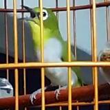 (Category: ) located in . Submitted by wilson78i (Listing ID 1379681514, Image 1). Description: .