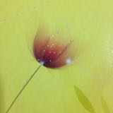 (Category: ) located in . Submitted by wrzh2529 (Listing ID 1350795229, Image 1). Description: .