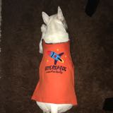 (Category: ) located in . Submitted by rodeome (Listing ID 1377387379, Image 1). Description: .