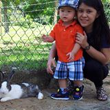 (Category: ) located in . Submitted by christie_chiam27 (Listing ID 1384806204, Image 1). Description: .