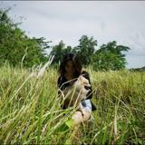 (Category: ) located in . Submitted by clara.ong.18 (Listing ID 1285575704, Image 1). Description: .