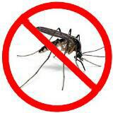 (Category: ) located in . Submitted by diy_magnetic_insect_screen (Listing ID 258509416, Image 1). Description: .