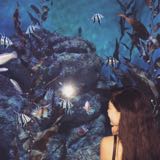 由 akicx (刊登 ID 1314583798,圖片 1) 提交,位於 的 (類別:),說明:。