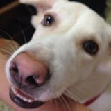 (Category: ) located in . Submitted by enileda7 (Listing ID 1291000000, Image 1). Description: .