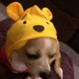 (Category: ) located in . Submitted by rj007 (Listing ID 1350584082, Image 1). Description: .