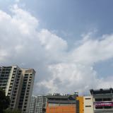 (Category: ) located in . Submitted by aiwal (Listing ID 1446944778, Image 1). Description: .