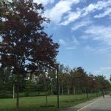 (Category: ) located in . Submitted by chteoo (Listing ID 1368777267, Image 1). Description: .