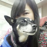 由 avalu (刊登 ID 1382120447，圖片 1) 提交，位於 的 (類別：)，說明：。