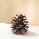 (Category: ) located in . Submitted by forestfire (Listing ID 1380037839, Image 1). Description: .