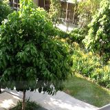 (Category: ) located in . Submitted by seemple.life (Listing ID 1378683146, Image 1). Description: .