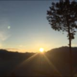 (Category: ) located in . Submitted by chickpeas (Listing ID 1447076044, Image 1). Description: .