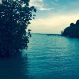 (Category: ) located in . Submitted by serene.tan.7923 (Listing ID 36495795, Image 1). Description: .