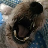 (Category: ) located in . Submitted by rure.cher (Listing ID 1376048415, Image 1). Description: .