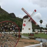 (Category: ) located in . Submitted by shing.ni.9 (Listing ID 1375664294, Image 1). Description: .