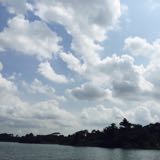 (Category: ) located in . Submitted by holymolytoly (Listing ID 1439177277, Image 1). Description: .
