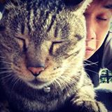 由 timothytimmy (刊登 ID 1382460524，圖片 1) 提交，位於 的 (類別：)，說明：。