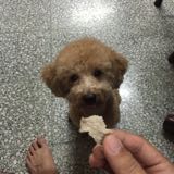 (Category: ) located in . Submitted by neddygoh (Listing ID 1375054957, Image 1). Description: .