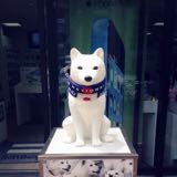 頭像