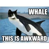 (Category: ) located in . Submitted by catwhale (Listing ID 1376350556, Image 1). Description: .