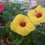 (Category: ) located in . Submitted by divsim (Listing ID 1375716641, Image 1). Description: .