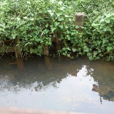 (Category: ) located in . Submitted by byfun (Listing ID 1379821933, Image 1). Description: .