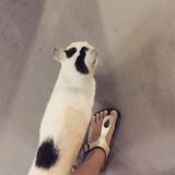 (Category: ) located in . Submitted by kitcatlover (Listing ID 1380896468, Image 1). Description: .