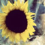 (Category: ) located in . Submitted by omnommm (Listing ID 1461464685, Image 1). Description: .