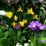 (Category: ) located in . Submitted by asharapova (Listing ID 1368463524, Image 1). Description: .