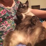 (Category: ) located in . Submitted by ellementary (Listing ID 1381958393, Image 1). Description: .