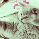 (Category: ) located in . Submitted by ilucifix (Listing ID 1362348686, Image 1). Description: .