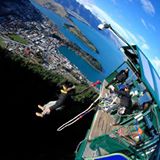 (Category: ) located in . Submitted by flyfox (Listing ID 212765391, Image 1). Description: .