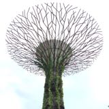 (Category: ) located in . Submitted by shauntan (Listing ID 1129968694, Image 1). Description: .