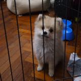 (Category: ) located in . Submitted by ___yx (Listing ID 1369587625, Image 1). Description: .