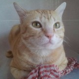 (Category: ) located in . Submitted by junhung (Listing ID 1387822484, Image 1). Description: .